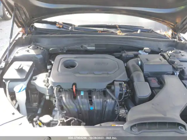 KIA OPTIMA 2019 5XXGT4L30KG295377