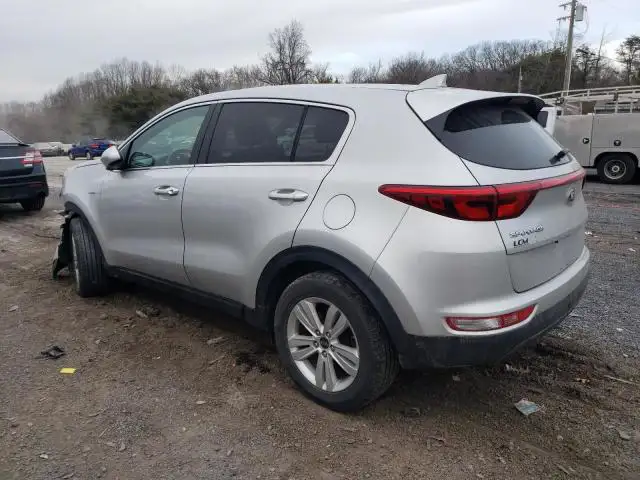 KIA SPORTAGE KNDPM3AC1K7495834